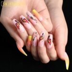 Butterfly Ombre Nails